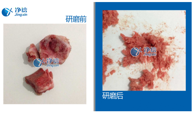 研磨破碎結締組織儀器:高通量組織研磨儀